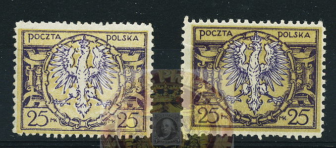 Poland Error-2-1A-wm_resize.jpg