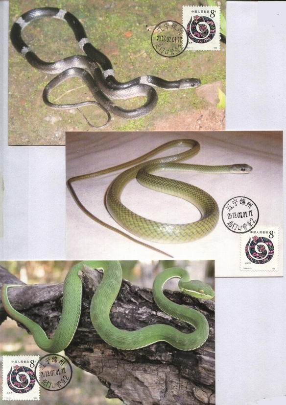 4.第一轮生肖蛇-极限片（均为2012年版.锦州北门口戳）=各6元：.jpg