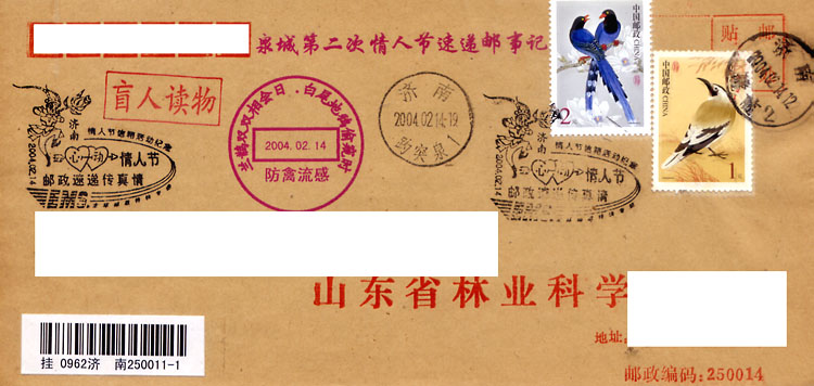 2004情人节林业公函封.jpg
