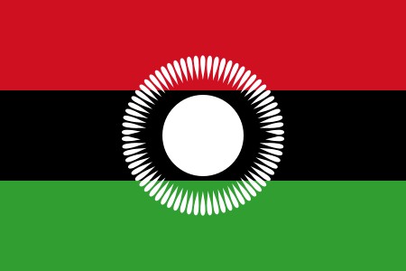 Q群内参考消息提供